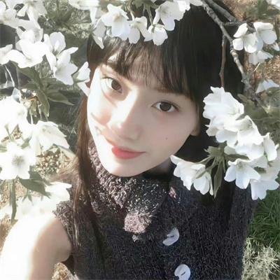 鬼吹灯之南海归墟动画版